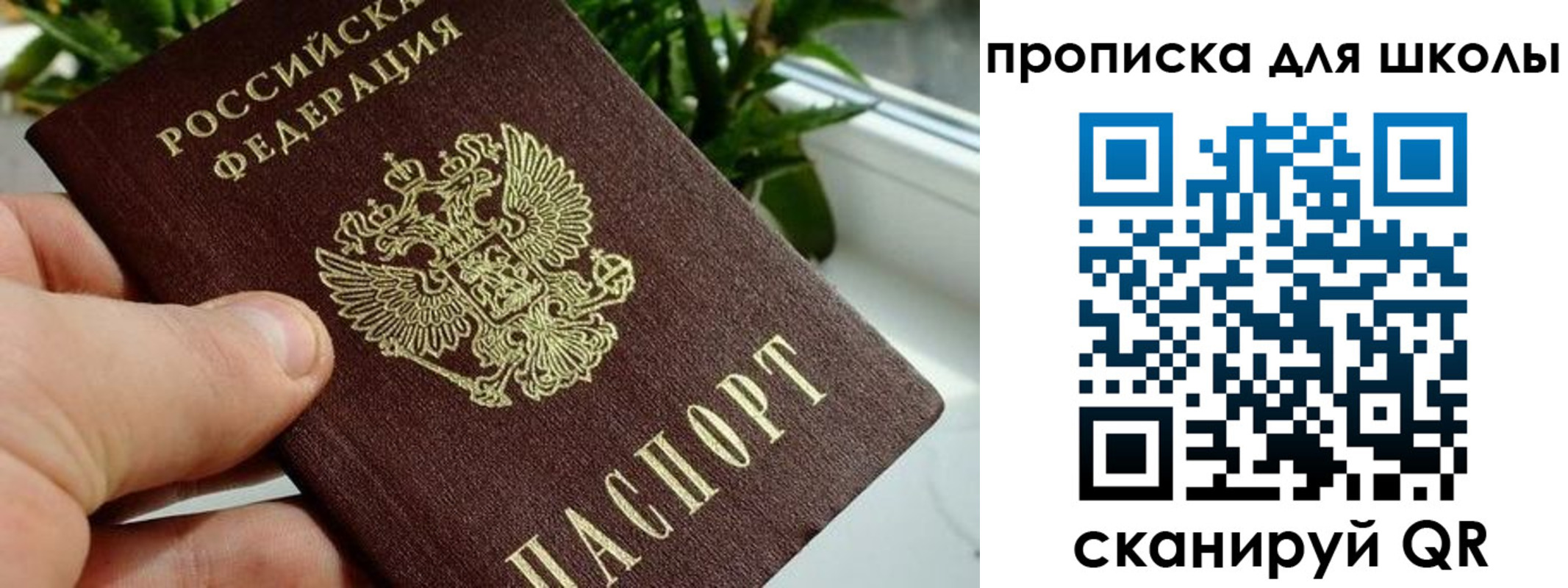 найти адрес прописки в Каменск-Шахтинском